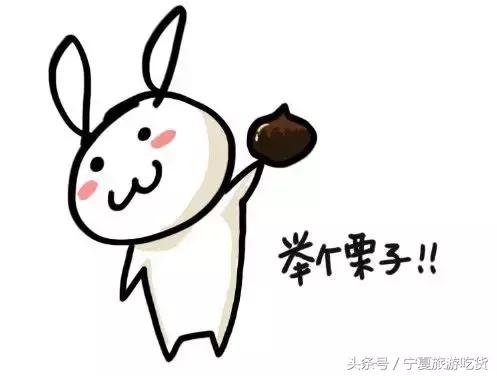 最难听懂的宁夏话,宁夏方言土话大全