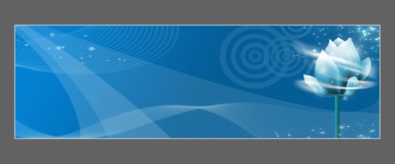 *赚网**新手，你想知道的*赚网**名词都在这里