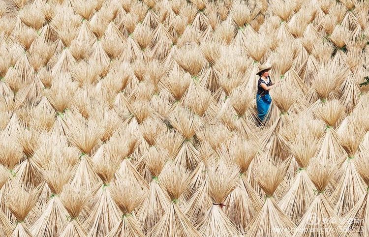 向劳动者致敬的手艺,劳动最美手艺精良