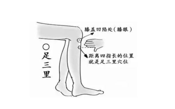 千寒易除一湿难祛全诗,千寒易除一湿难祛