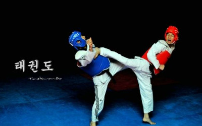 全球公认武术排行第一的人,世界公认的武术发源地是哪里