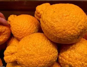丑橘是越丑越好吃吗,丑橘怎么挑选最好吃