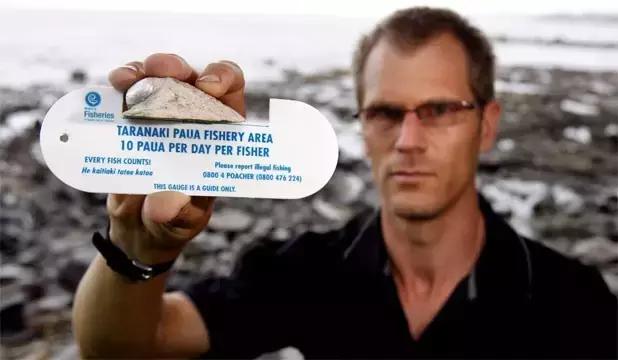 新西兰7种绝美海鲜与河鲜,新西兰海鲜有哪些