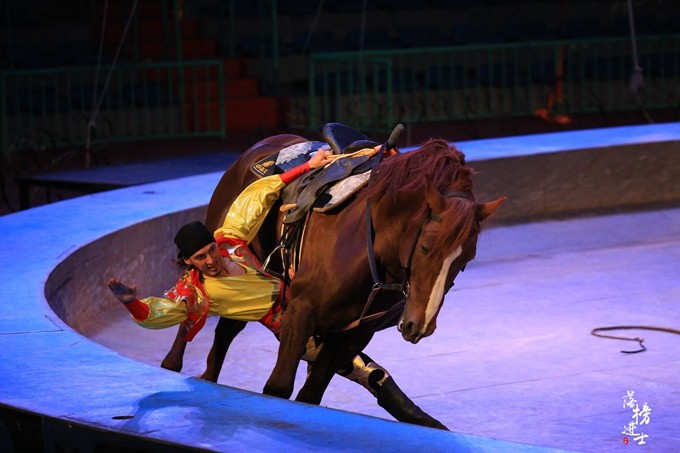 泉城欧乐堡动物王国夏天怎么去,泉城欧乐堡梦幻世界星空过山车