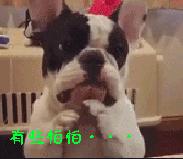 泰诺退烧药对小孩子安全吗,泰诺林退烧药有效果吗