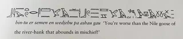 用古埃及文优雅地骂人,好想学圣书体呀!