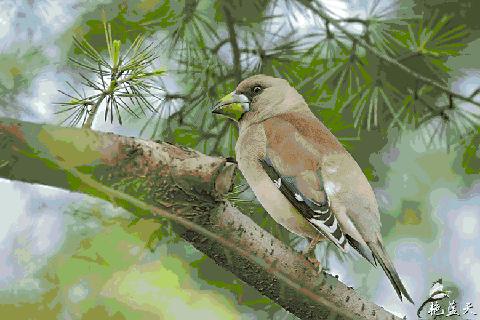 魔都各大高校里竟藏了这么多人少景美的秘密好地方,假期约起来!