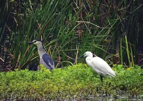 魔都各大高校里竟藏了这么多人少景美的秘密好地方,假期约起来!