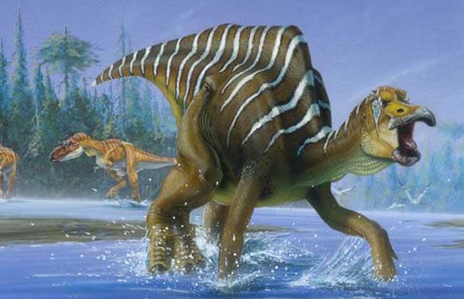 关于恐龙你都知道什么秘密习性,关于恐龙你所不知道的几个真相