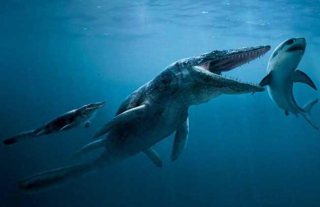 关于恐龙你都知道什么秘密习性,关于恐龙你所不知道的几个真相