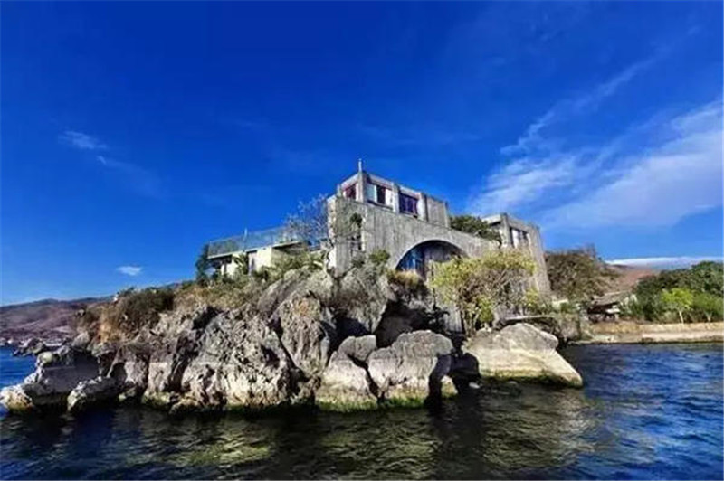 鲁豫和杨丽萍照片,美哭了新疆舞蹈