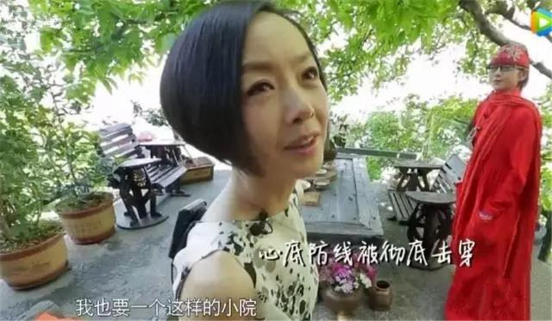 鲁豫和杨丽萍照片,美哭了新疆舞蹈