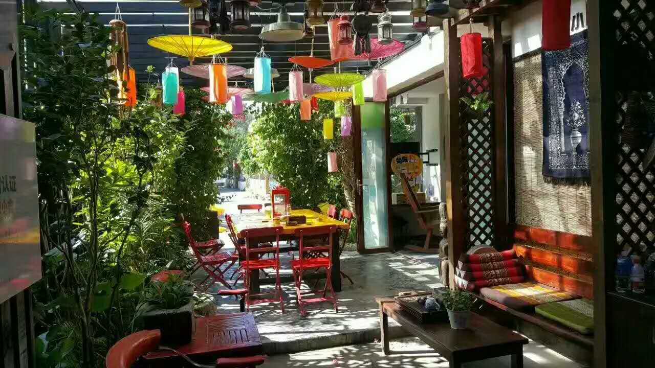 鲁豫和杨丽萍照片,美哭了新疆舞蹈