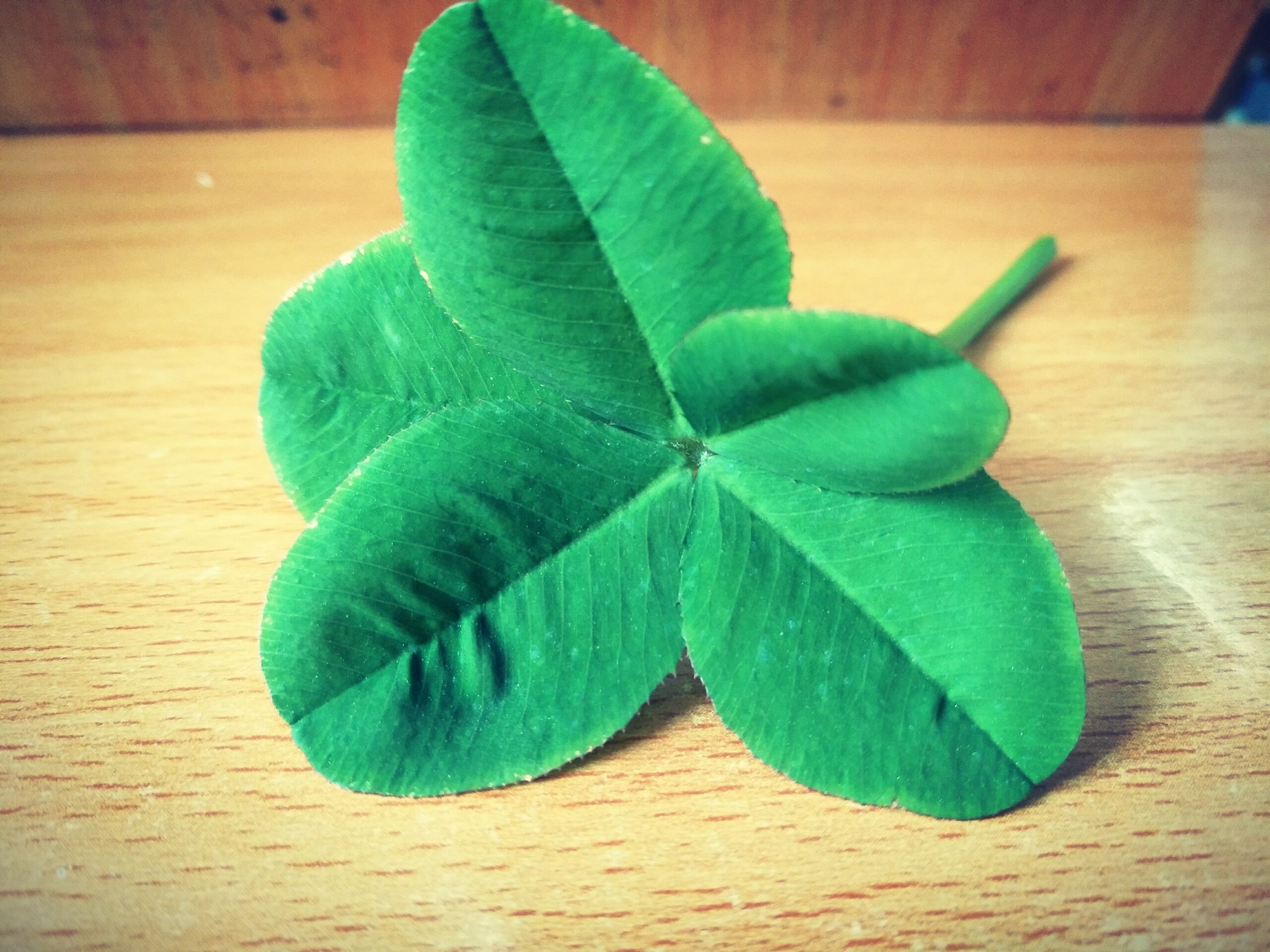 谨以此曲怀念逝去的故人,谨以此致敬这份转瞬即逝的爱情