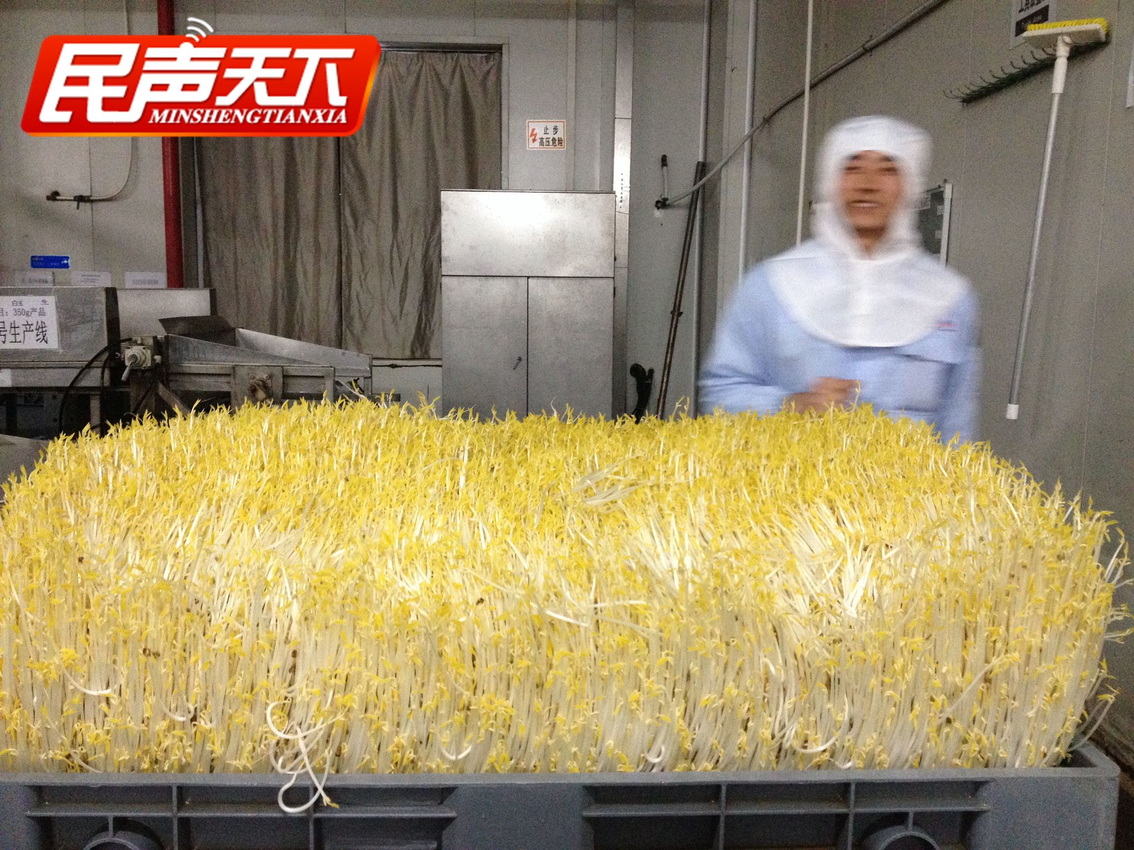 踏雪寻梅玉汝于成,白玉老字号