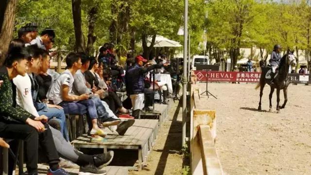 北京冠军杯马术巡回赛,2021鸟巢之路马术比赛