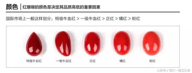 选购珊瑚,如何选好红珊瑚