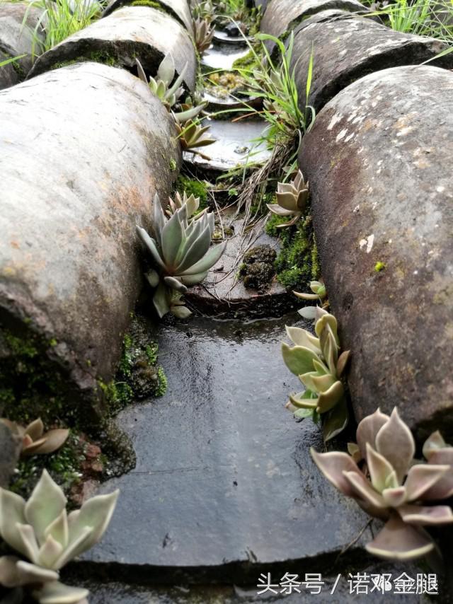 品赏云南｜石门老街的记忆（二）