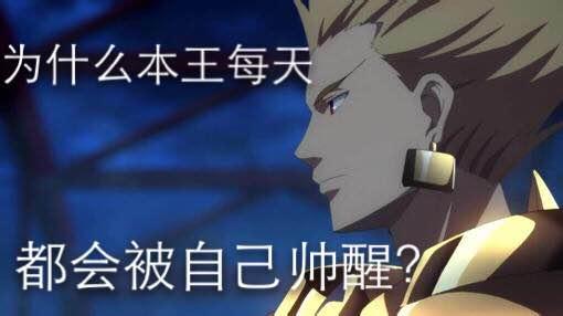 闪闪是吉尔伽美什王吗,fgo金闪闪事件