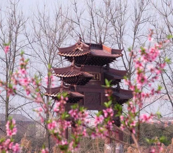 浙江大学最老的建筑,浙江大学标志性建筑图片