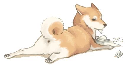 天气热宠物怎么样养好,天气热了宠物应该注意什么