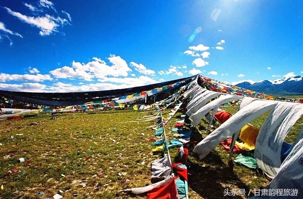 藏西旅游,藏西旅游攻略大全