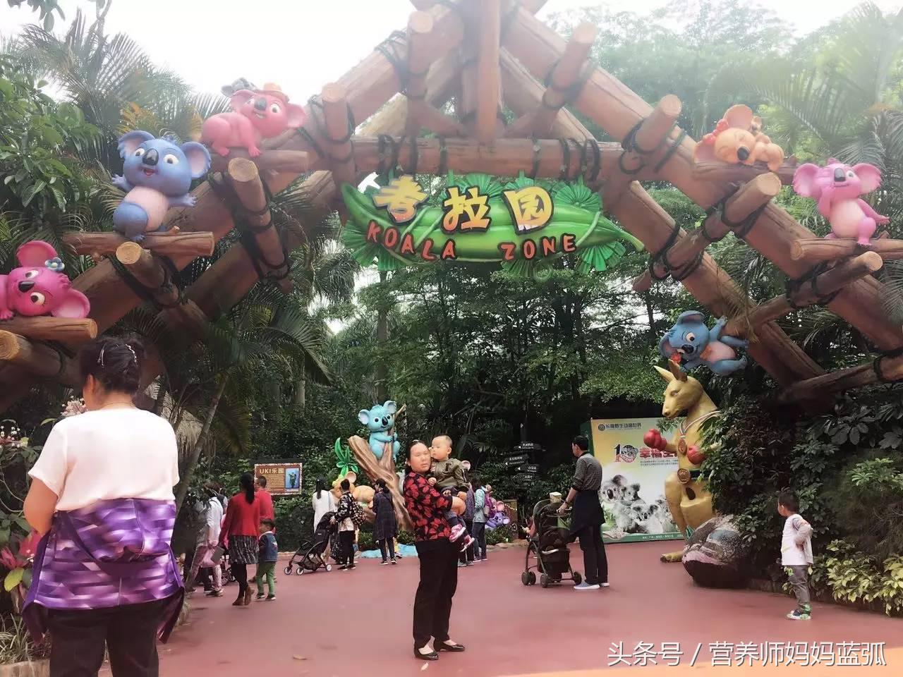 5.1带孩子去长隆推荐,带娃广东长隆欢乐世界游玩攻略
