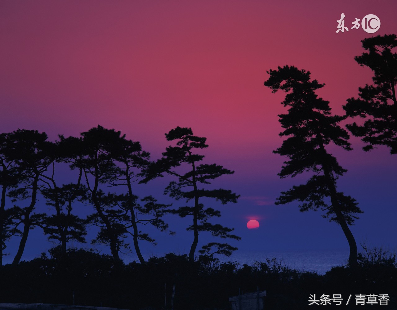 命理五行图解详解大全,如何看懂五行命理图表详解