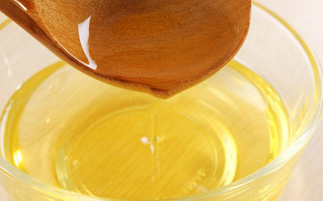 一棵山茶的故事,一棵茶故事