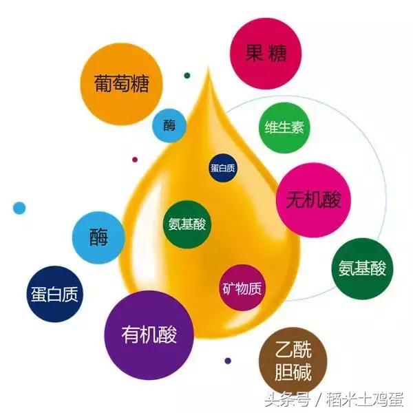 蜂蜜过期了怎么办小妙招,蜂蜜过期了怎么处理最好