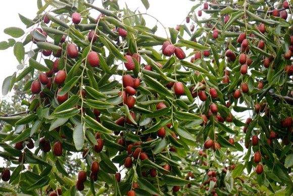 忻州保德必去的6个景点,忻州市保德县旅游景点介绍图片