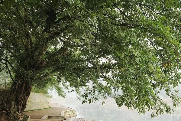 2022春节成都周边有年味的古镇,成都周边旅游人气最旺的十大古镇