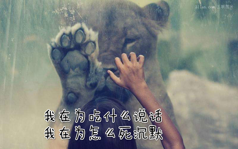 灵遁者的现代诗,灵遁者写的诗