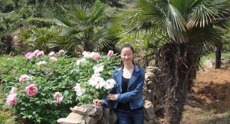 老公打了我却没道歉怎么办,被老公打了怎么办娘家也不管