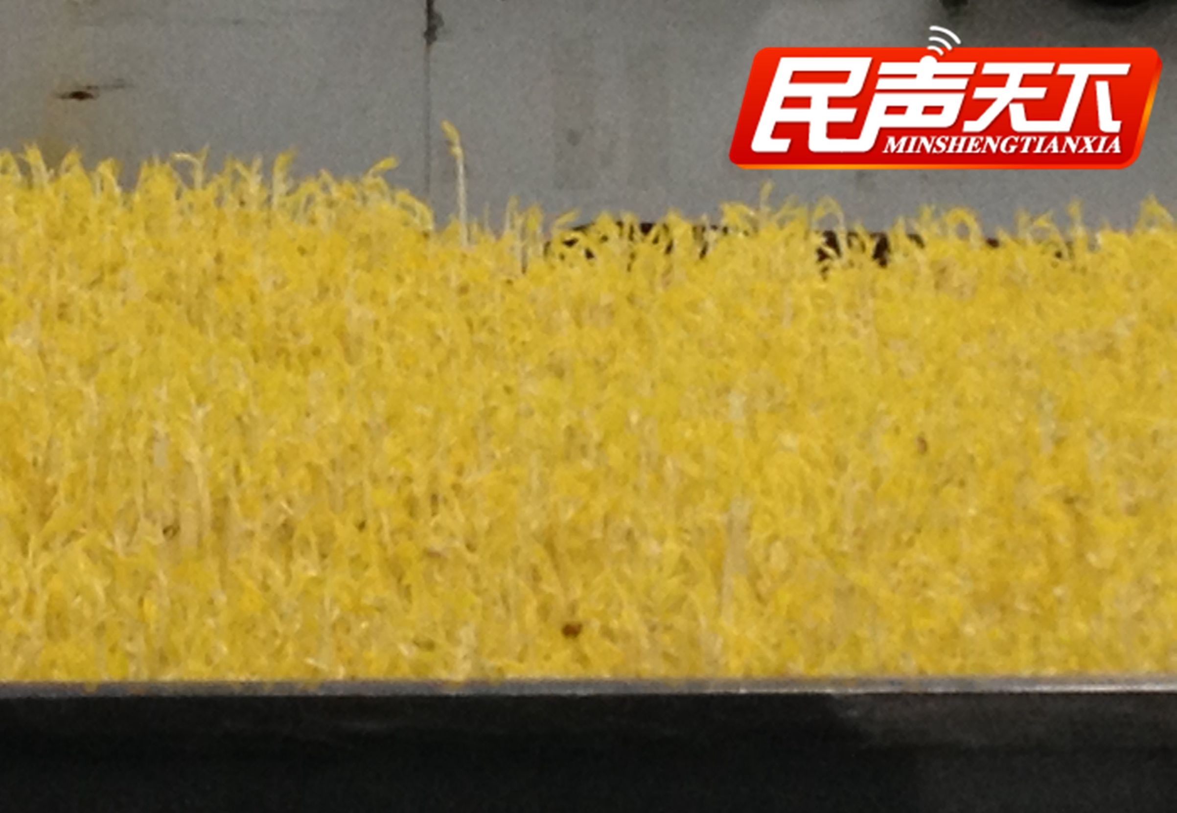 踏雪寻梅玉汝于成,白玉老字号