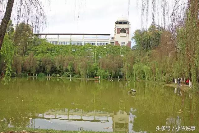 再见了四川大学,成都川大锦城学院