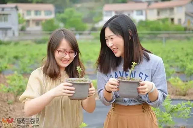 宜宾屏山蓝莓基地采摘园在哪,宜宾蓝莓采摘基地多久可以摘