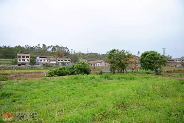 宜宾屏山蓝莓基地采摘园在哪,宜宾蓝莓采摘基地多久可以摘