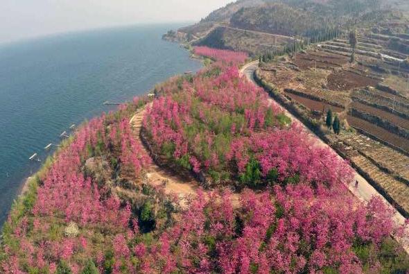 春节抚仙湖一日游自驾游玩攻略,抚仙湖游玩攻略最新