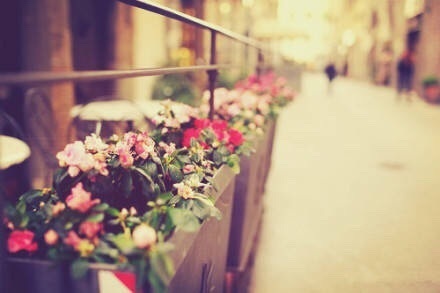 宸у泭鍋ュ悍澶囧瓡,宸у泭鍥涙湡鏈悗澶囧瓡