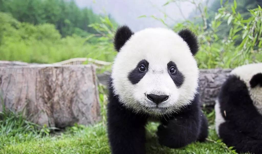 这7个坏习惯，会让你越长越丑！很多人第一个就中枪了~