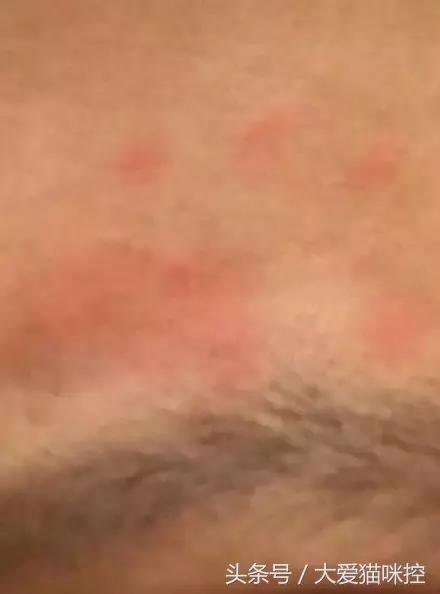 主人起床后发现脸上全是印泥，调查后发现，凶手是它