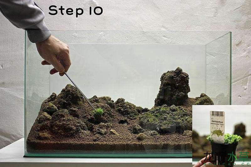 水草造景之我见-水草造景详细开缸教程及相关常见问题预防解答