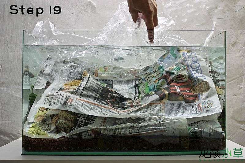 水草造景之我见-水草造景详细开缸教程及相关常见问题预防解答