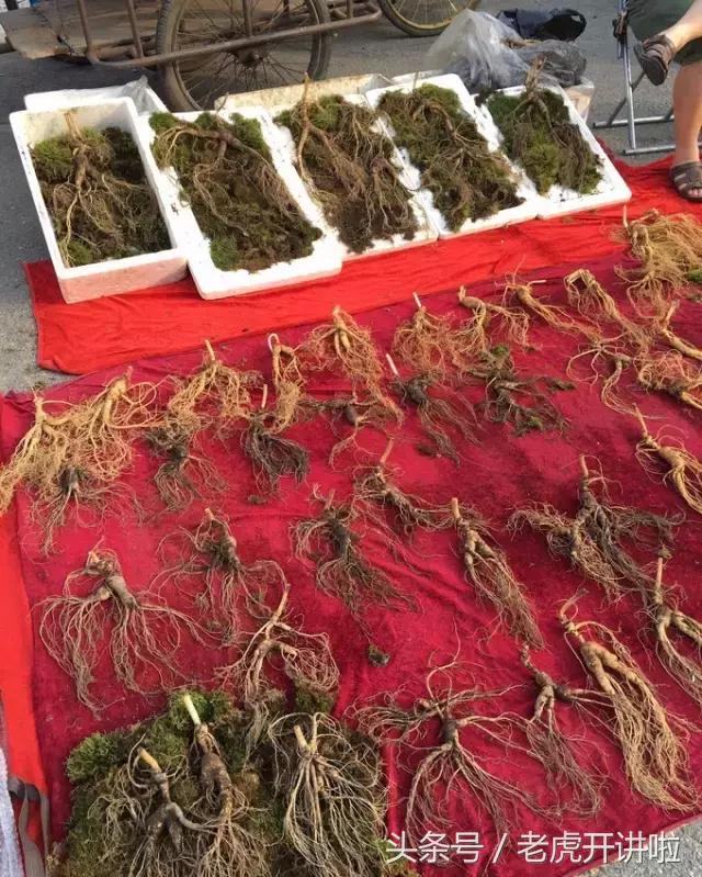 五一去吉林集安旅游攻略,集安旅游攻略大全