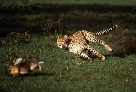 官方通报20个“不合理低价游”违法案例你中枪没?