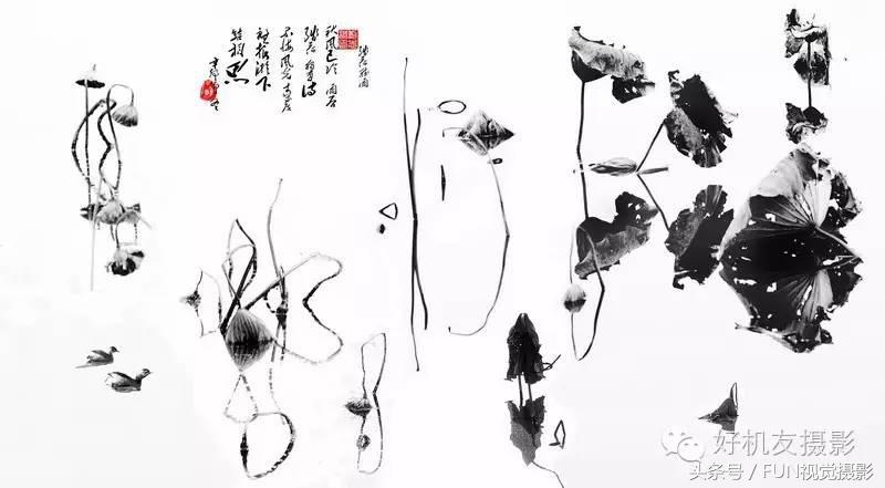 花卉创意摄影作品欣赏,花卉创意摄影十个技巧是什么