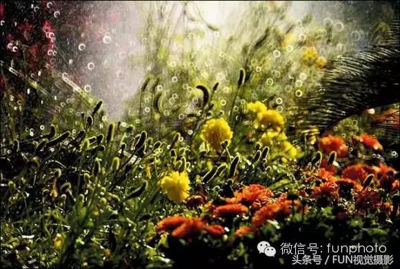 花卉创意摄影作品欣赏,花卉创意摄影十个技巧是什么