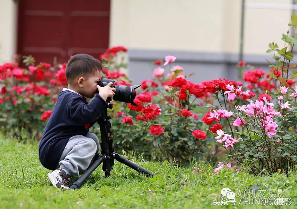 花卉创意摄影作品欣赏,花卉创意摄影十个技巧是什么