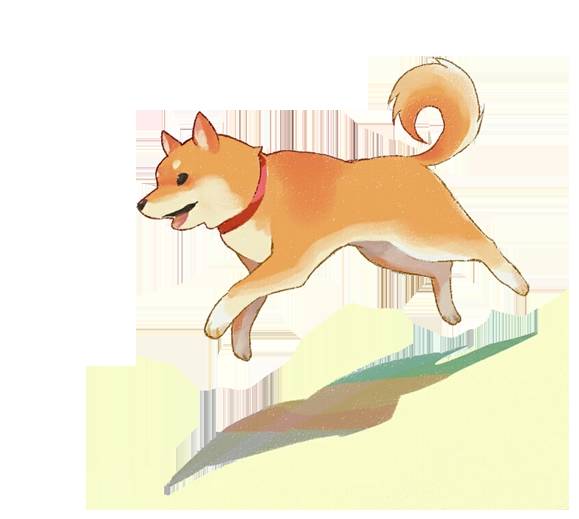 天气热宠物怎么样养好,天气热了宠物应该注意什么